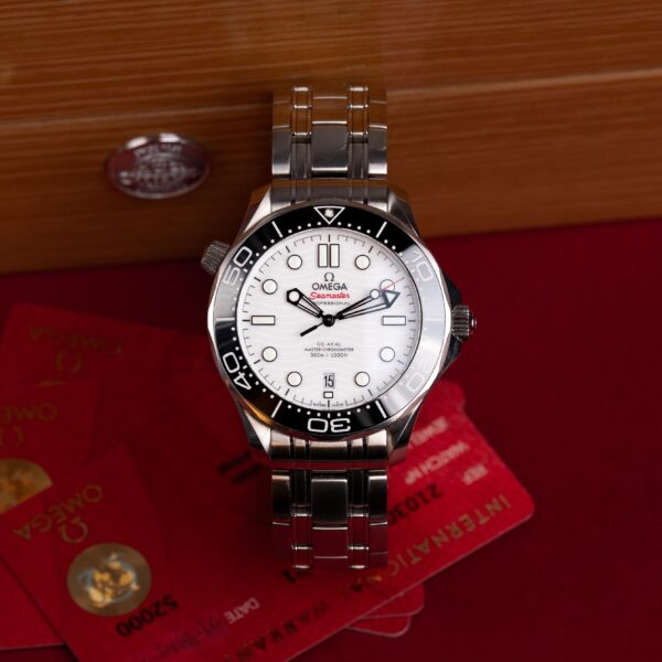 Omega Seamaster 210.30.42.20.04.001