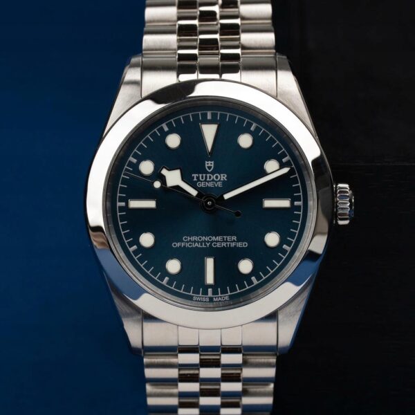 Tudor Black bay 79660